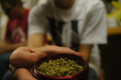 the-stoners-blog:  Stoner Supply co. www.StonerSupply.co