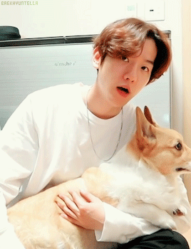 baekhyuntella:two puppies in one frame