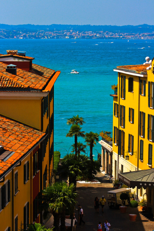 califoreign:  CaliForeign | Photography