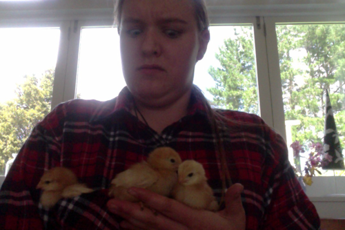 plaideangel:  plaideangel:  thewifeofloki:  what the hell do you mean chicks don’t like plaid  this one does  oh shit  wHAT   CHICKS REALLY LIKE PLAID WATCH OUT   chick magnet  WHICH ONE OF YOU DICKHEADS BROUGHT THIS BACK JUST WHEN I THOUGHT IT HAD