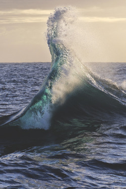 The Motion Of The Ocean (William Patino) | S.l.δ.b.