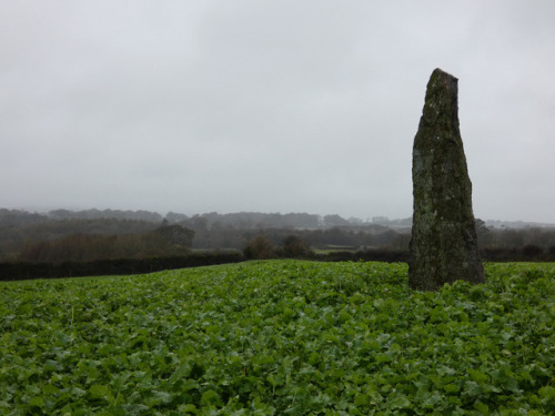 Ty Gwyn Standing Stone, Llandegfan, Anglesey, 24.10.17. A Bronze Age single standing stone of over s