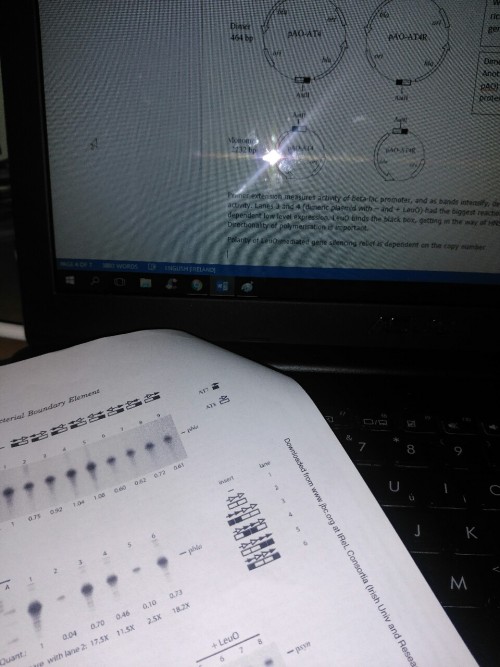Spending my day revising NAPs (nucleoid-associated proteins). Zzz