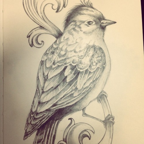 My first draw of a bird #tattoo #drawing #pentel #moleskine #bird