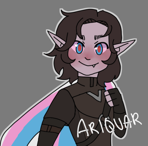 mistermundy:tellydryn: pride flags ….. soon to be stickers hopefully trans fenn sticker!!   and la