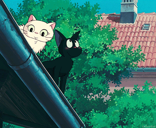 The Sensation Called Animation Jiji In Kiki S Delivery Service 19 魔女の宅急便