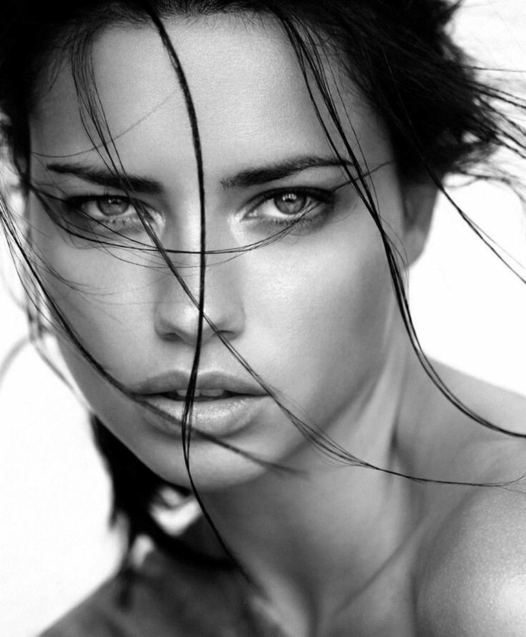 beautydevotedphotography:  