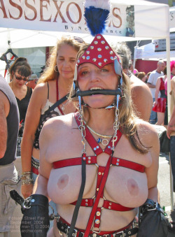 felixdartmouth:Bound Pony-Girls at Folsom - by MarT content at http://www.archw.com/