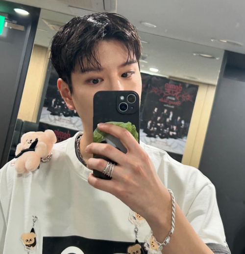 Seungmin's Phone Cases Over The Years.