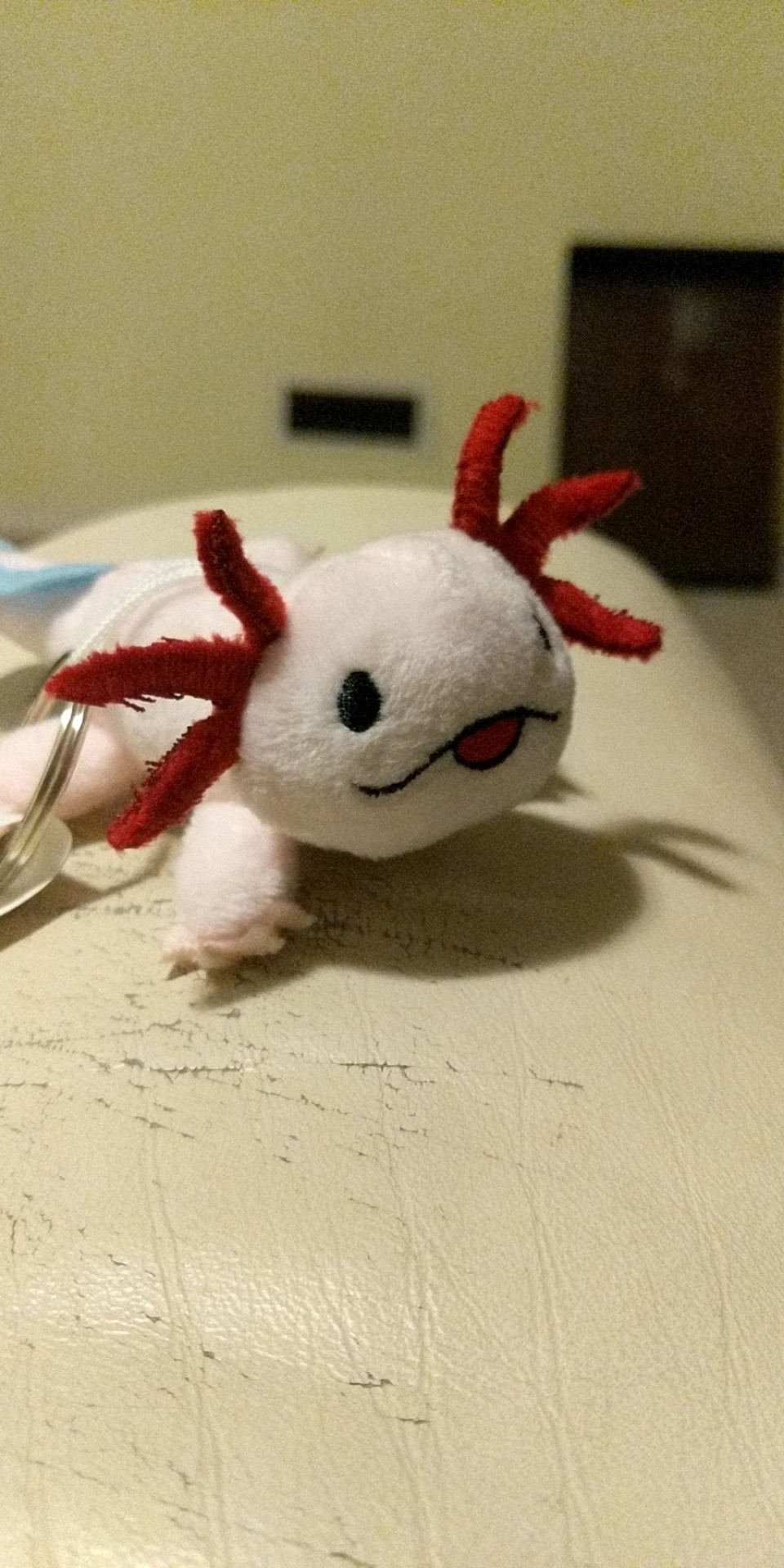 A New Friend Has Arrived!