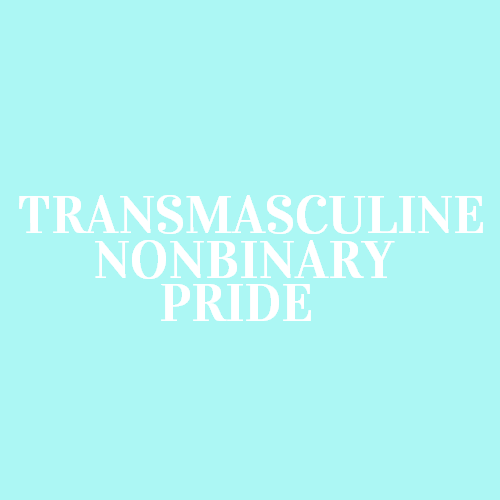 [Image: A bright blue color block with white text that reads “Transmasculine nonbinary pride&r