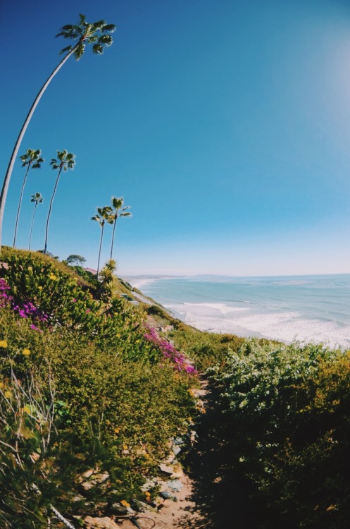 sassafranski:  best place to watch the waves