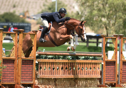 ahorsecalledtimber1: Nick Haness and Banderas, Blenheim ‘15.Source: The Chronicle