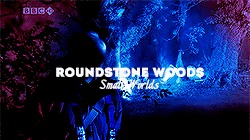 chabouillet:100 Themes Challenge | 1/100 | Woods