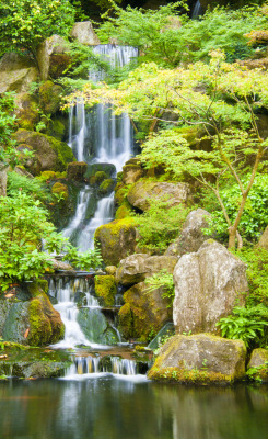 llbwwb: Japanese Garden-9110099 (by glennrossimages)