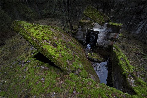 Sex destroyed-and-abandoned:  concrete & pictures