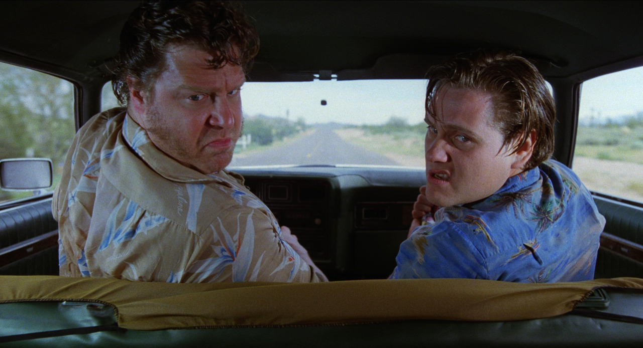filmbytheframe: Raising Arizona, 1987 Director - Joel CoenCinematography - Barry
