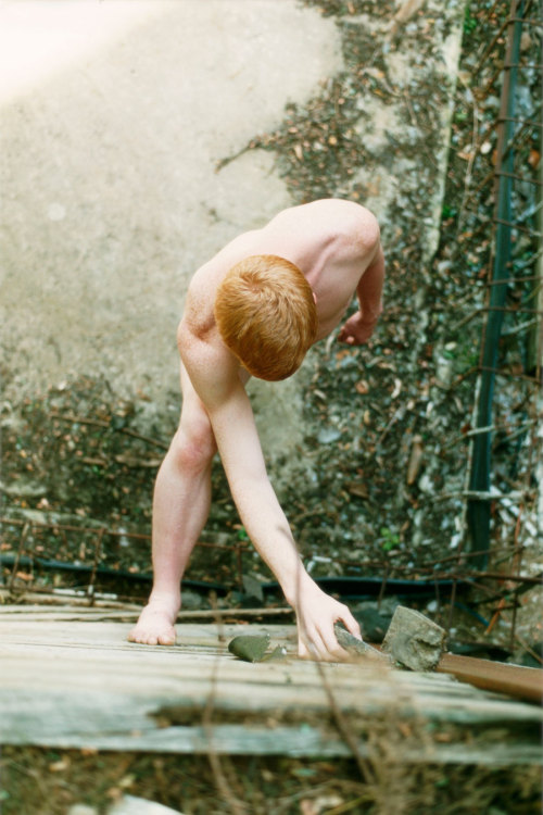 frankiethebaron:  Wolfgang Tillmanshttps://artwise.live/2016/05/06/in-praise-of-wolfgang-tillmans/