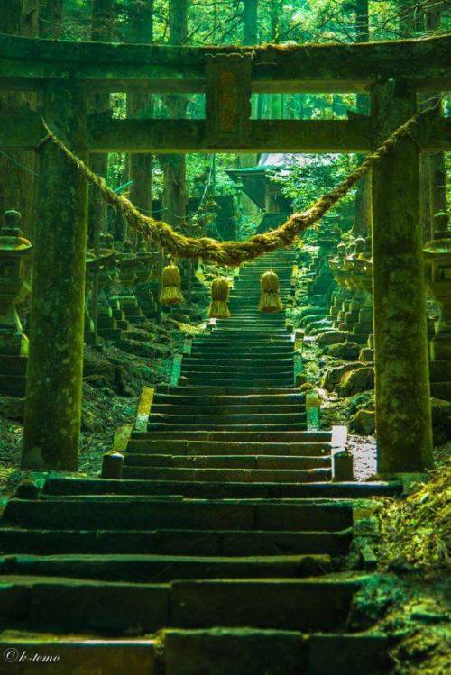 Porn beifongkendo:  Torii and greenery, at Kumanoza photos