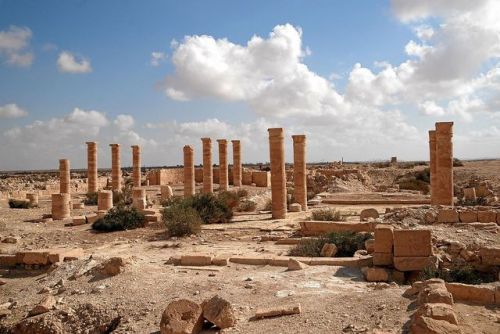 historyfilia:Remains of a Byzantine church at Nizana (today Tell Nitzana), Israel