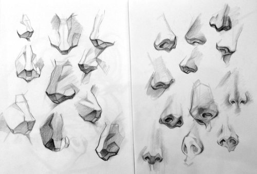 anatoref:Anatomy of the NoseTop ImageRow 2: Left, Middle, RightRow 3Row 4Row 5: Left, RightRow 6Bott