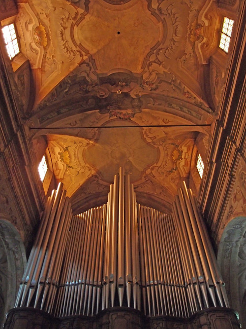 Pipe Organ