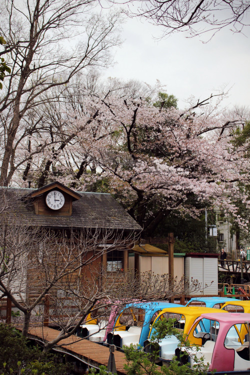  Last week, Mia and I managed to do a hanami before the non-stop rain destroyed the sakuras.Outfit r