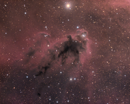 LDN 1622: Dark Nebula in Orion The silhouette of an intriguing dark nebula inhabits this cosmic scen