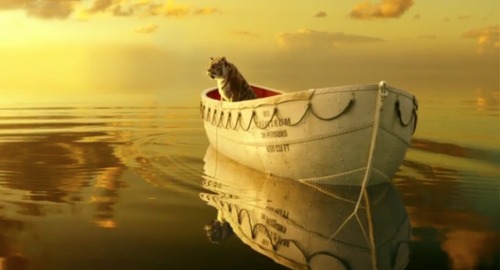 Life of Pi (2012) dir. Ang Lee