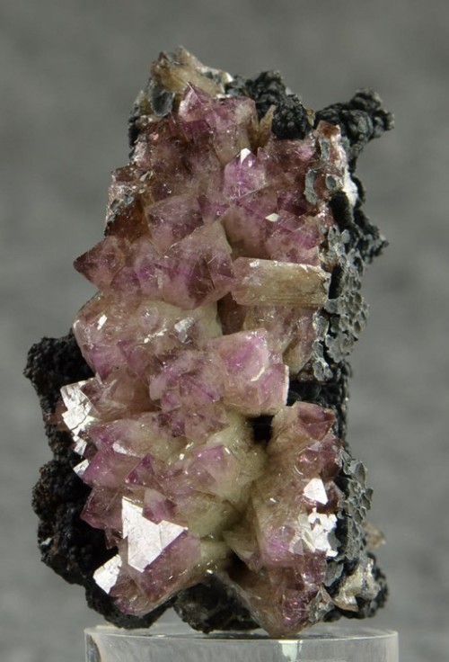 bijoux-et-mineraux:  Manganoan Adamite - Locality: Ojuela Mine, Mapami, Durango, Mexico