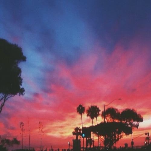 damn