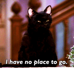 Salem is our King.
