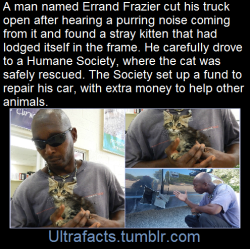 ultrafacts:  (Fact Source)Follow Ultrafacts