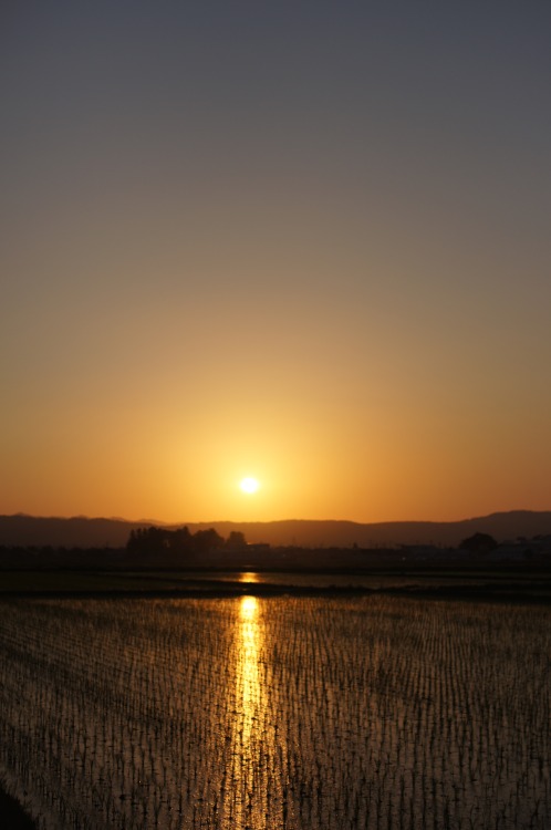 coco-soco-kashico wo reblog