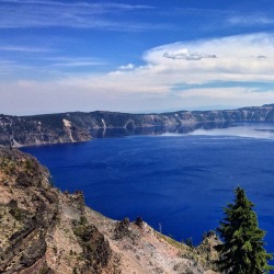 adventuringvagabond:The water is really that intense royal blue; Crater Lake National Park