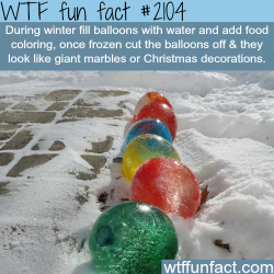 wtf-fun-factss:  Frozen Water Balloons - WTF