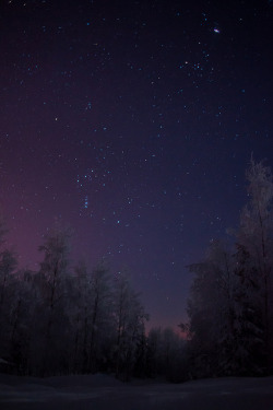 forbiddenforrest:  Finland night sky by aarography(.com)