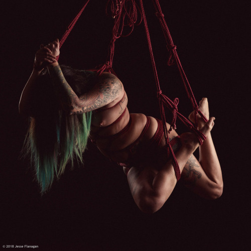 jesseflanagan: With @twiggsyofficial​ in MyNawashi rope Rigging/photo by Jesse Flanagan (self) Instagram | Facebook | Full sets available on Findrow 