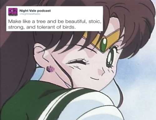 sailormoonsub: Sailor Moon + Night Vale Radio tweets