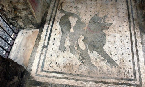 museum-of-artifacts:One of the oldest “Beware of the Dog” signs in the world. Domus del Poeta Tragic