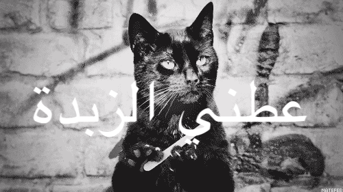 ريم