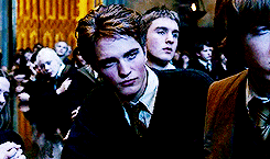 Hp Meme:ten Scenes [7/10]The Champion Selection