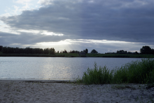 Tienhoven, Netherlands | August 2021 | Horseman 985 on Fujicolor Pro 400H