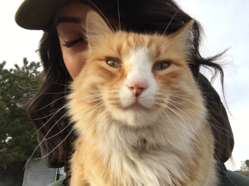 MostlyCatsMostly