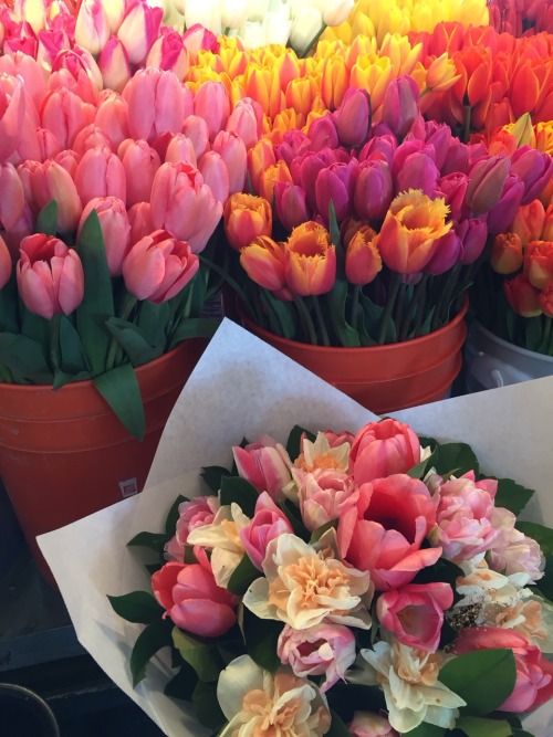 lalizy:  flower appreciation (in seattle public market)
