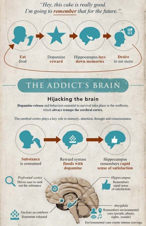 neuromorphogenesis:  The Brain That Heals Itself: Neuroplasticity and Promise for Addiction TreatmentA woman sits at her piano, practicing a five-finger exercise. For two hours a day, she practices the exercise over and over, her finger movements growing