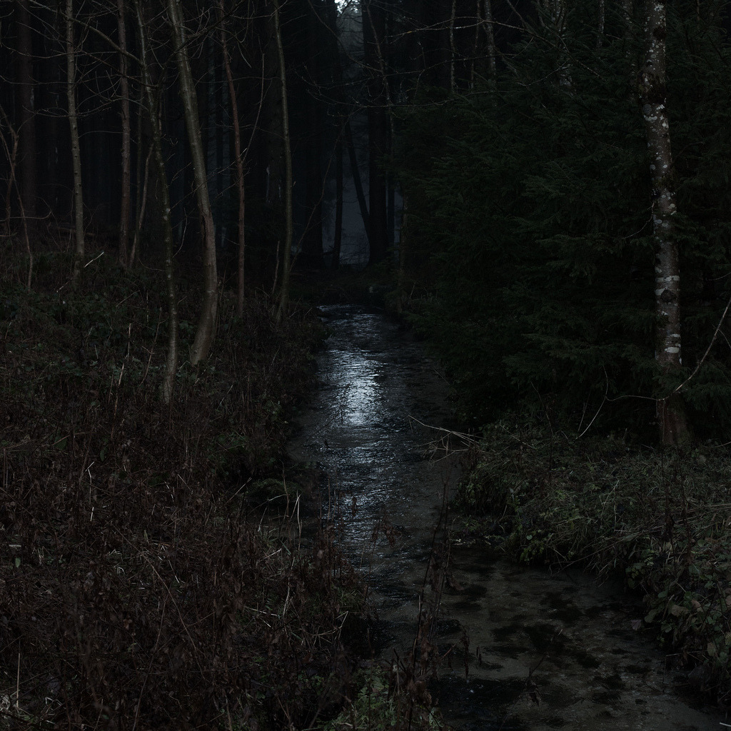 lawsoffate:  (by bonsai paean) 