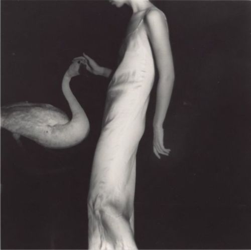 corail77:  Francesca Woodman