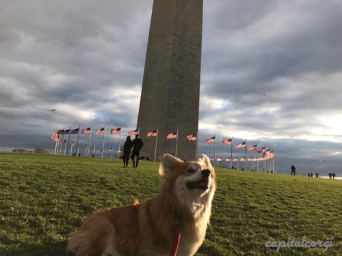 “One might say I’m having a monumental time on this adventure walk … … …Heeeeee”