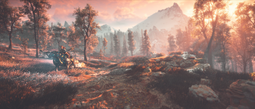 horizonzerodawn